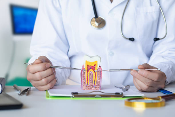 Best Emergency Dentist for Lost Fillings or Crowns in Corning, NY
